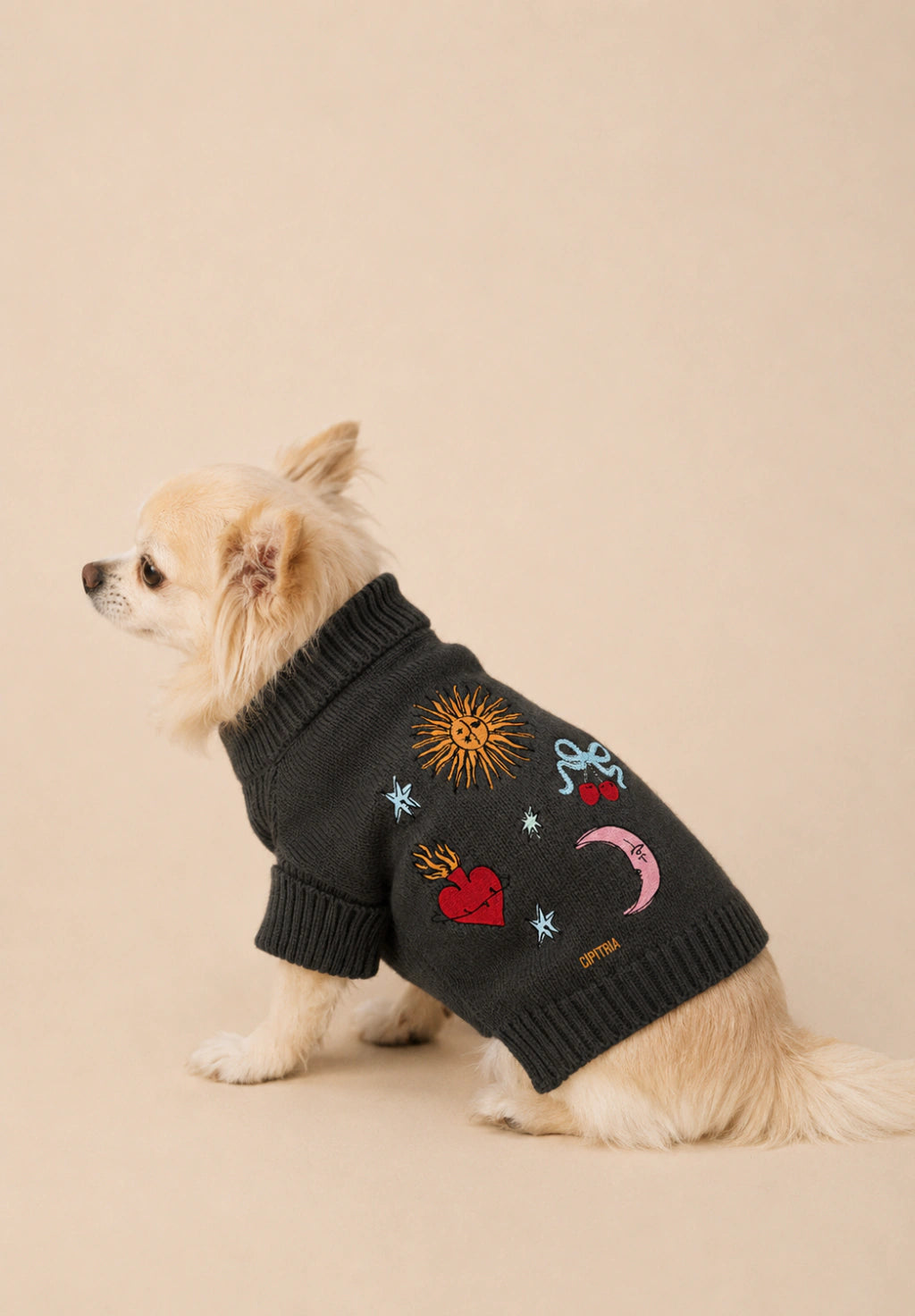 SWEATER ASTRO GRIS