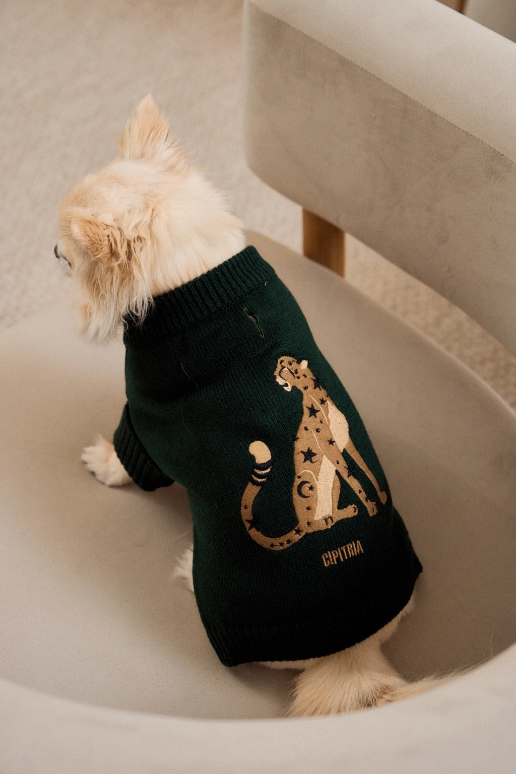 SWEATER LIBRA VERDE
