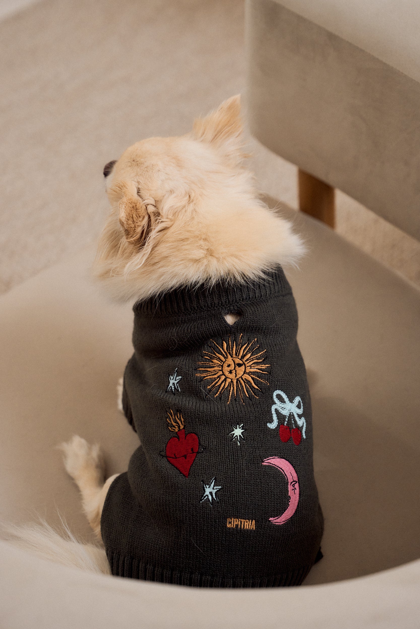 SWEATER ASTRO GRIS