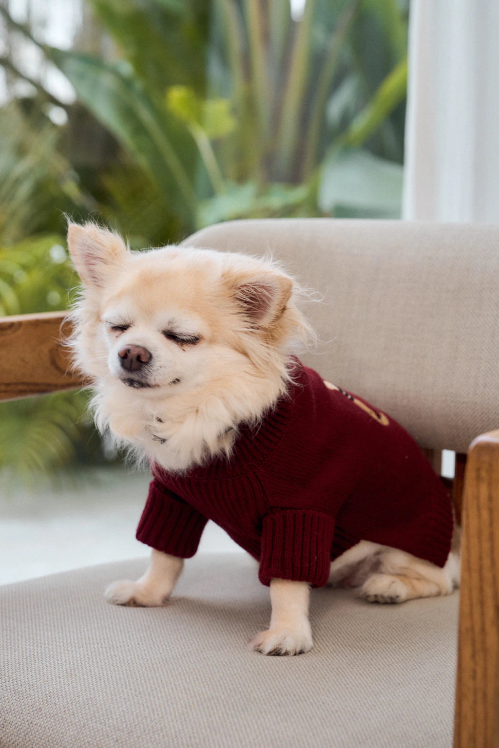 SWEATER LIBRA BORDO