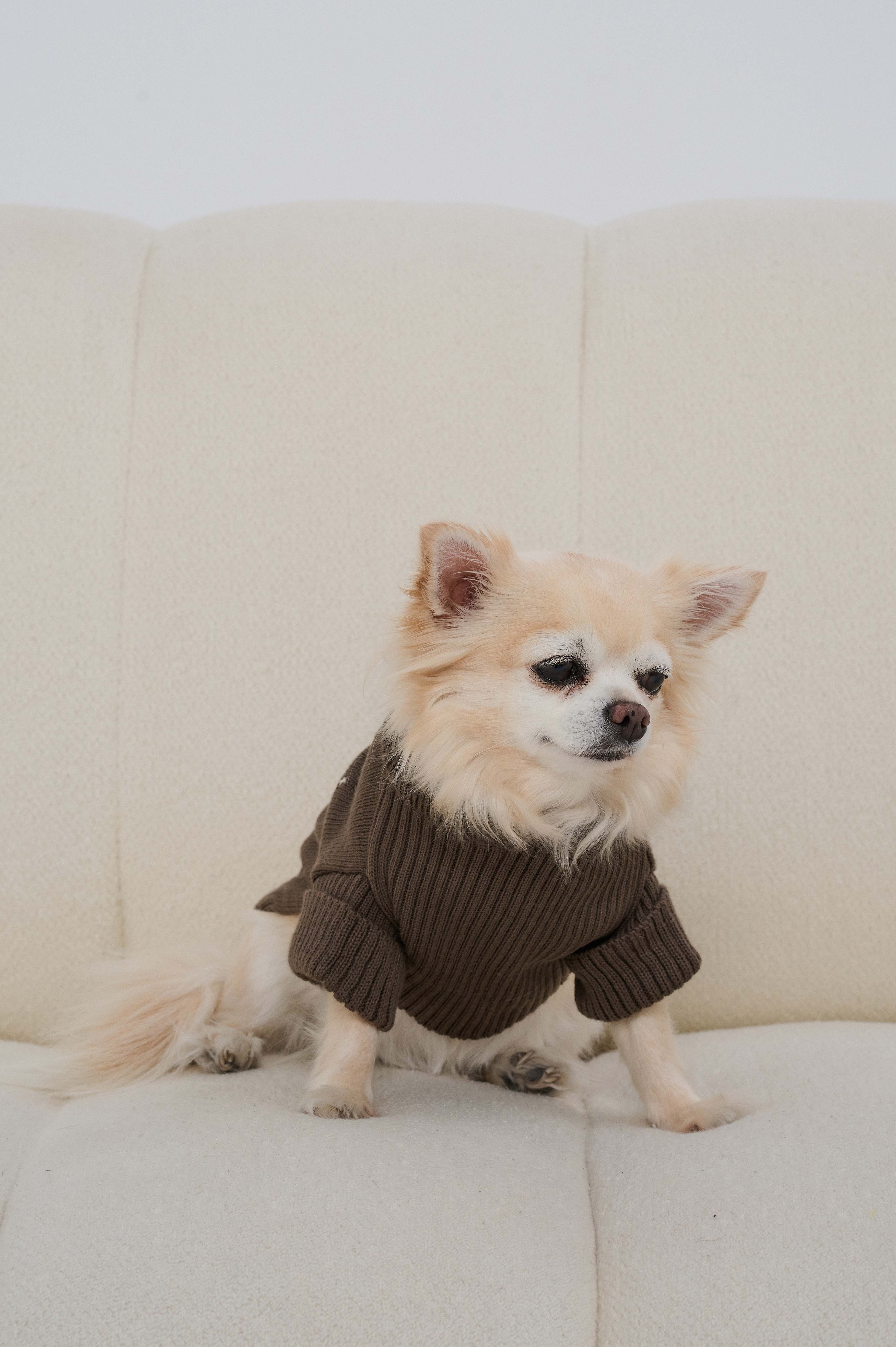 SWEATER BELL